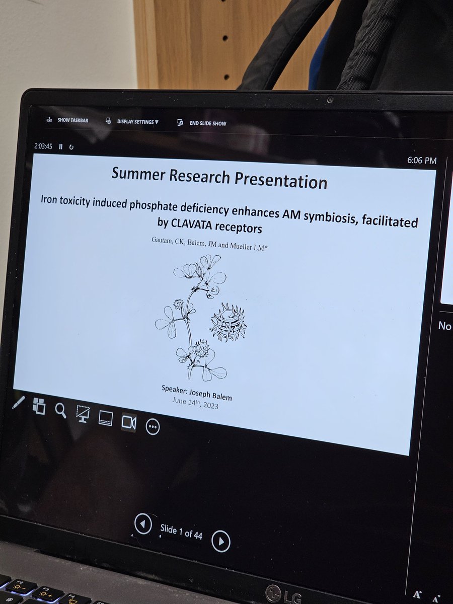 chandan_gautam's tweet image. Excited to introduce @BalemJoseph, a bright undergrad working with me on "Nutrients crosstalk during AM symbiosis." His engineering mind and curiosity make this collaboration a joy! Can't wait to present our findings at #PlantBiology2023! 🌱
#300-26
#futuregrad
#PlantMycolab