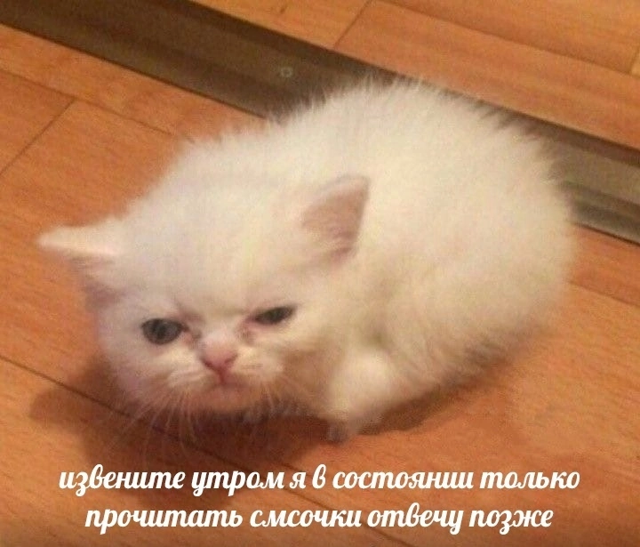 liltonder's tweet photo. https://t.co/JyBbQF14h9