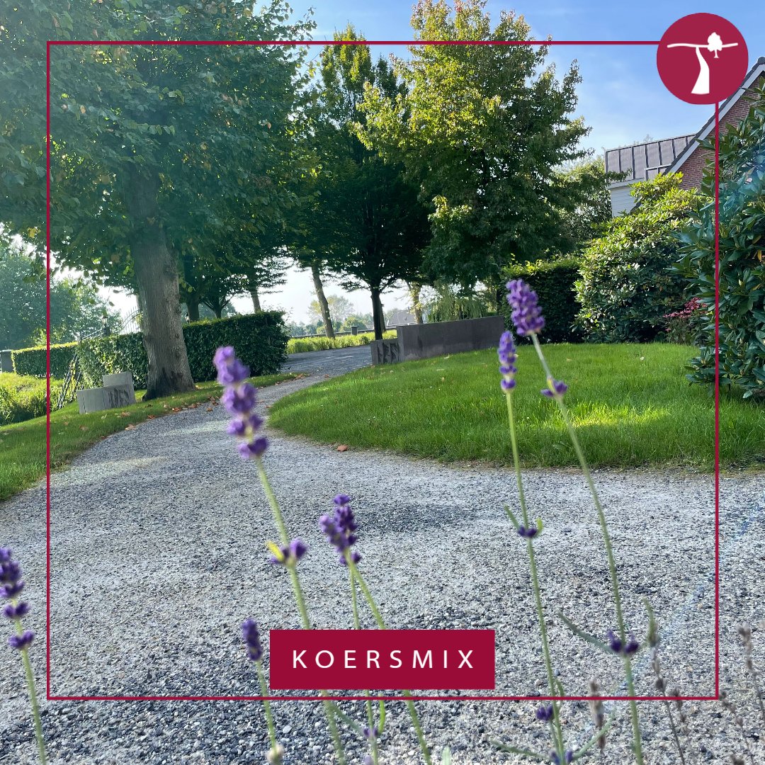 Wist u dat #Koersmix ook te bestellen is via onze Koers.Shop!?🛒

Een duurzame en waterdoorlatende oplossing met #milieuvriendelijke eigenschappen voor gebruik in tuinen, parken en landschappen. 🏡

👇
koers.shop/hst/kks-hon/we…

#kks #koers #koersshop #halfverharding
