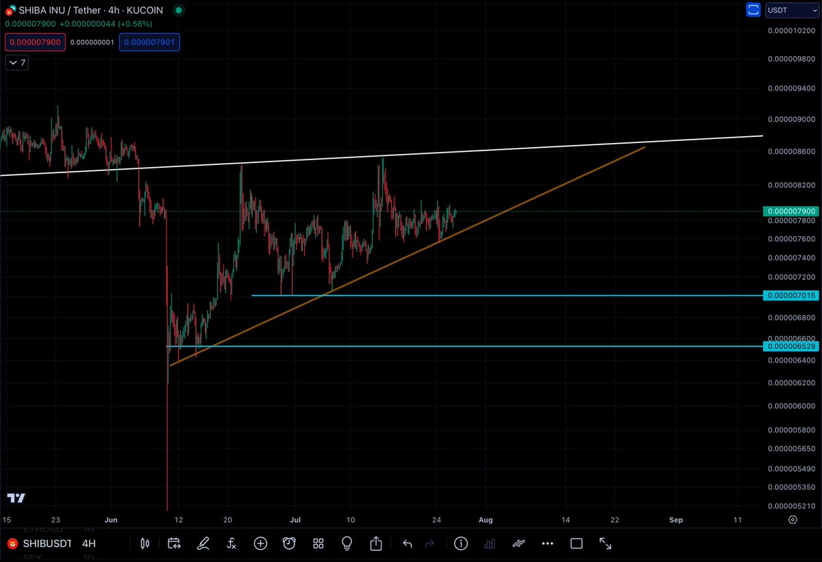 Q8Cryptotrader's tweet photo. #shiba #ShibaArmy #ShibaInu 
$shiba https://t.co/I9L1o6CgsZ