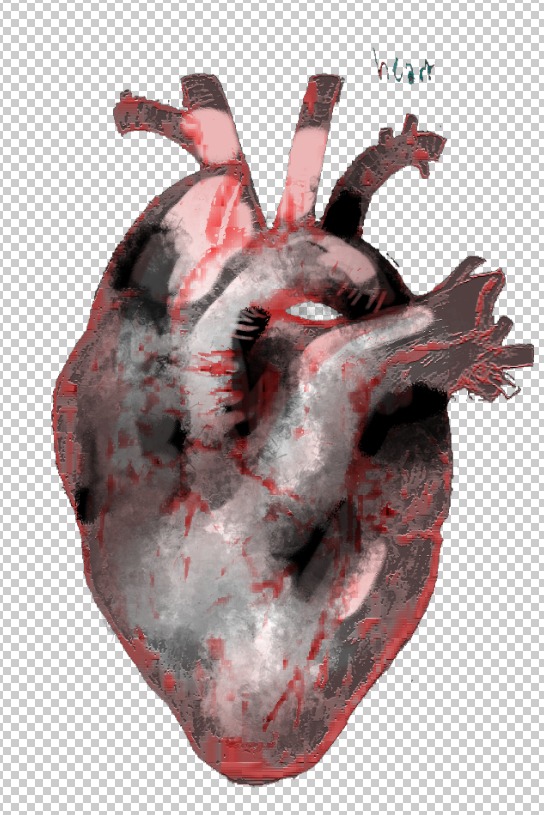 Lina.Abssi tweet media