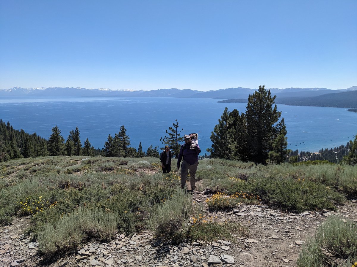 Erica Bigio tweet media