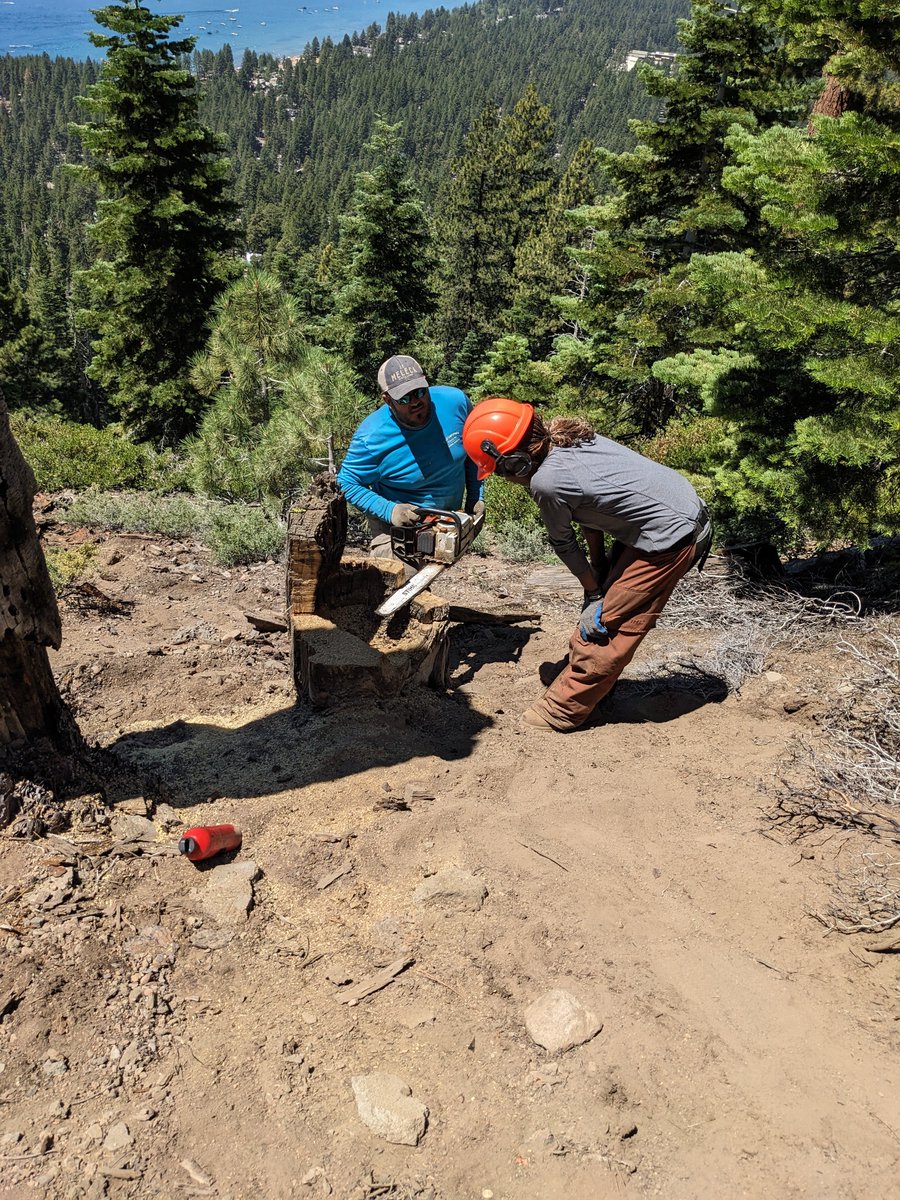 Erica Bigio tweet media