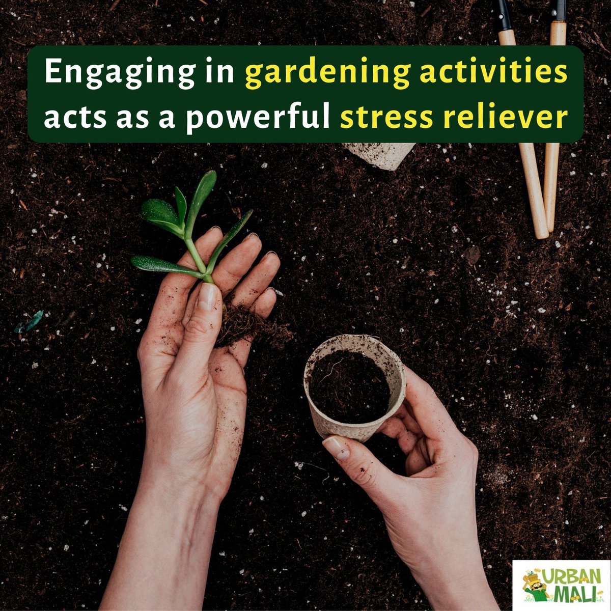 Gardening = Relaxation 🧘♂️🌿
Gardening is not just a hobby; it's a therapeutic escape into nature's calming embrace.

#GardeningTherapy #GreenSanctuary #NatureCalm #RelaxWithPlants #GardenLove #EscapeToNature#UrbanMali #urbangardening #homegardening