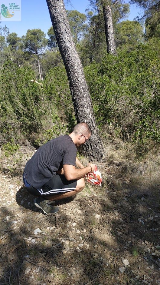 En #LIFE #Adaptaleppo son fundamentales los inventarios forestales en parcelas de #Pinushalepensis: medición de diámetros con forcípula, de alturas con pértiga telescópica, anotaciones, etc.
<a href="/IEntornoNatural/">I.Entorno Natural</a> <a href="/agrestascoop/">AGRESTA S. Coop.</a> <a href="/ETSEAFIV_UdL/">ETSEAFIV_UdL</a> <a href="/EtsiamAb/">ETSIAMB ALBACETE</a> <a href="/UPV/">Universitat Politècnica de València</a>   <a href="/AmbientalRM/">Consejería M. Ambiente, Univ., Invest. y Mar Menor</a> 
Fotos #Murcia