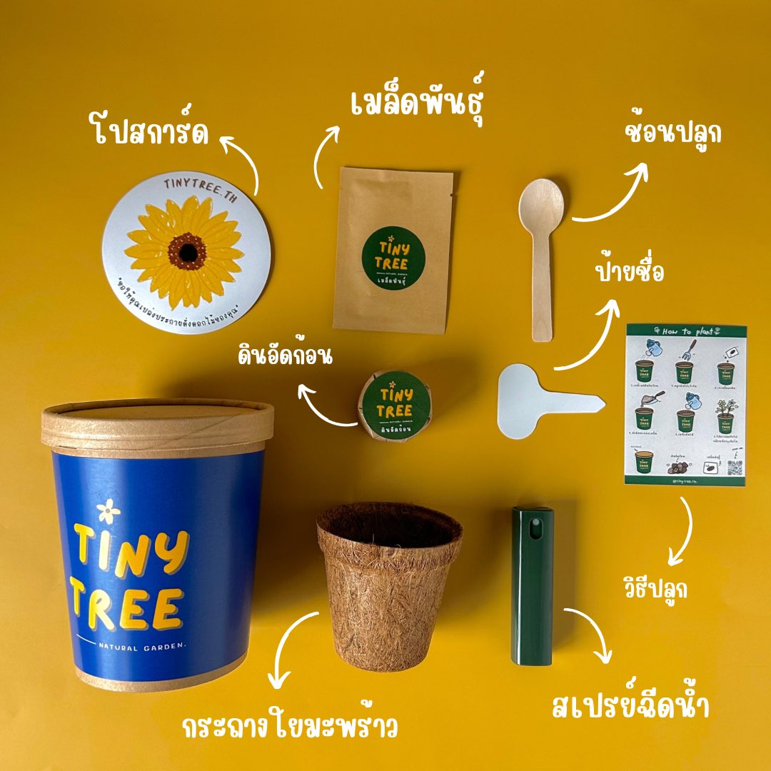 Tinytree.th tweet media