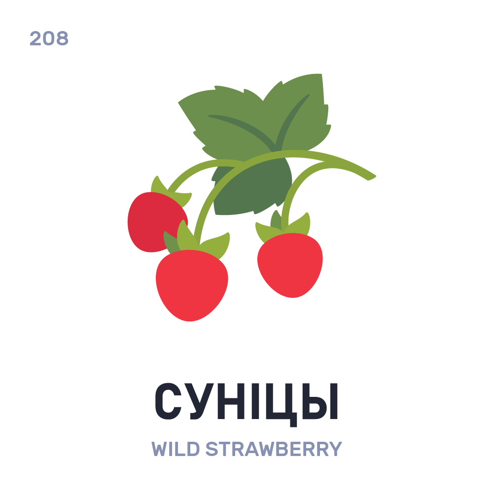 vandubovik's tweet photo. Сунíцы / Sunicy / Wild strawberry

#беларускаямова #belarus #illustration https://t.co/bsNQ1z2dav