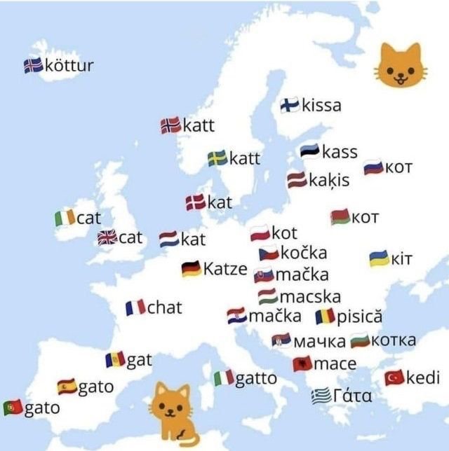 Kiwivogeltje's tweet photo. The most important map in the world, ar least of Europe 😸 #catmap https://t.co/Ddj4czsygw
