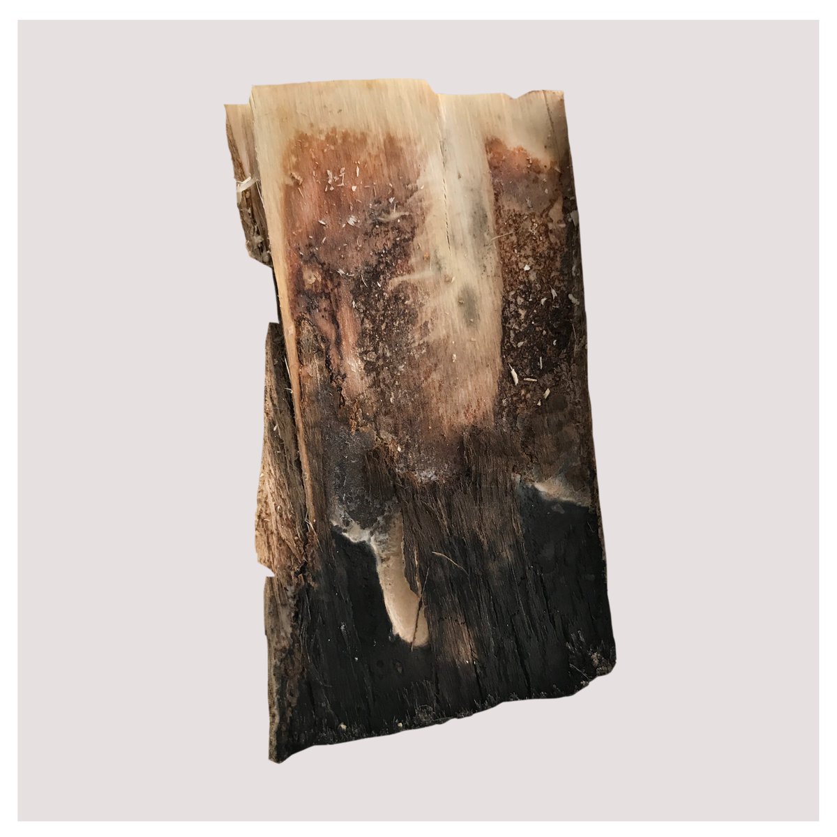arifziyatunc's tweet photo. Gm. dear friends, have a lucky day great all of you..
A dry sandalwood bark.. It turned into an abstract style by itself.
Available on: https://t.co/8tmszKy367
#NFTart #NFT #NFTcommunity #NFTartists #NFTcollec #opensea #openseanfts #NFTartists https://t.co/vbspJpchnI