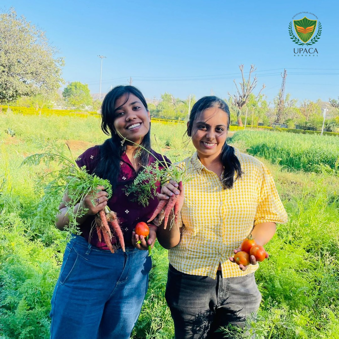 At Upaca Gurukul, we take pride in our sustainable farming practices. Our students actively participate in cultivating carrots and tomatoes in our very own organic farm. #SustainableFarming #FarmToTable #OrganicHarvest #GreenCampus #StudentInvolvement #AgricultureEducation