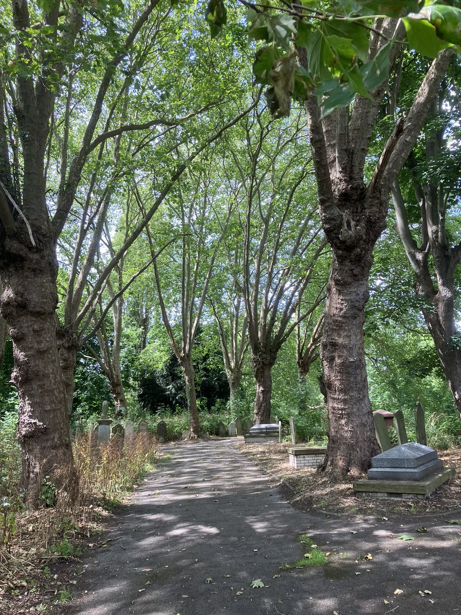 Jane Martin 💙 tweet media