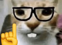 ⠀
[ShE’s hiS LeAst fAvOriTe oN thE tEaM fR.]