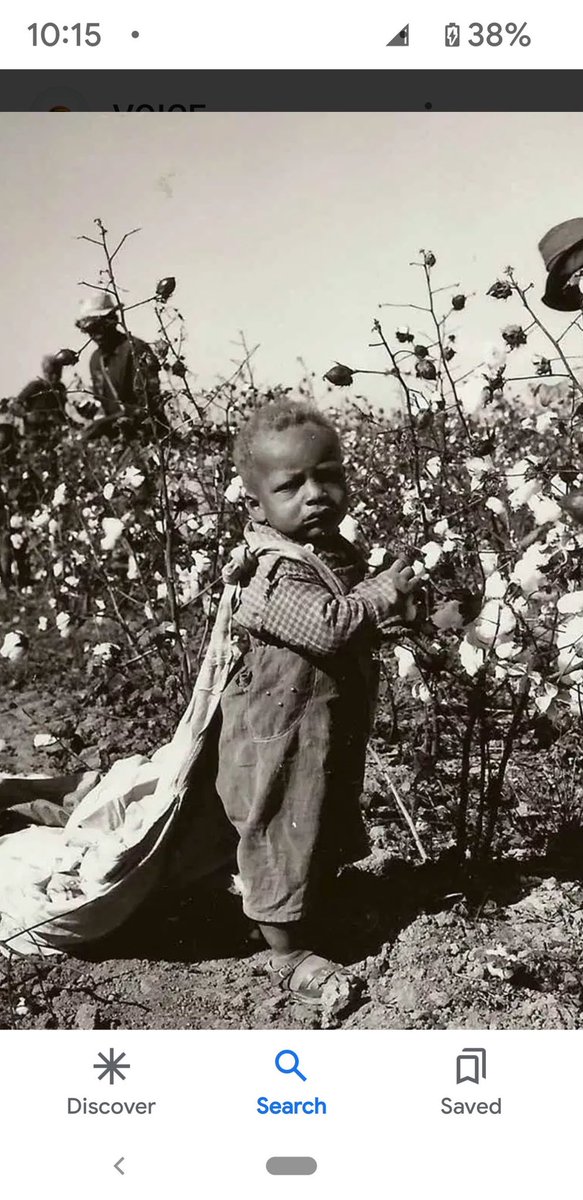 Our babies was not young enough to work on the slave farm. White kids is old enough to learn the history about slavery.