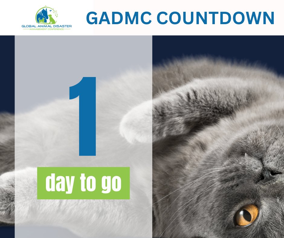 GADMConf's tweet photo. Attention, animal advocates and disaster management enthusiasts!

The moment we've been waiting for is just a few hours away! GADMC is going live soon!

This is your last chance to secure your spot for this FREE event: https://t.co/9wO0tsRUFV

#GADMConf https://t.co/SmN1C1PVL7