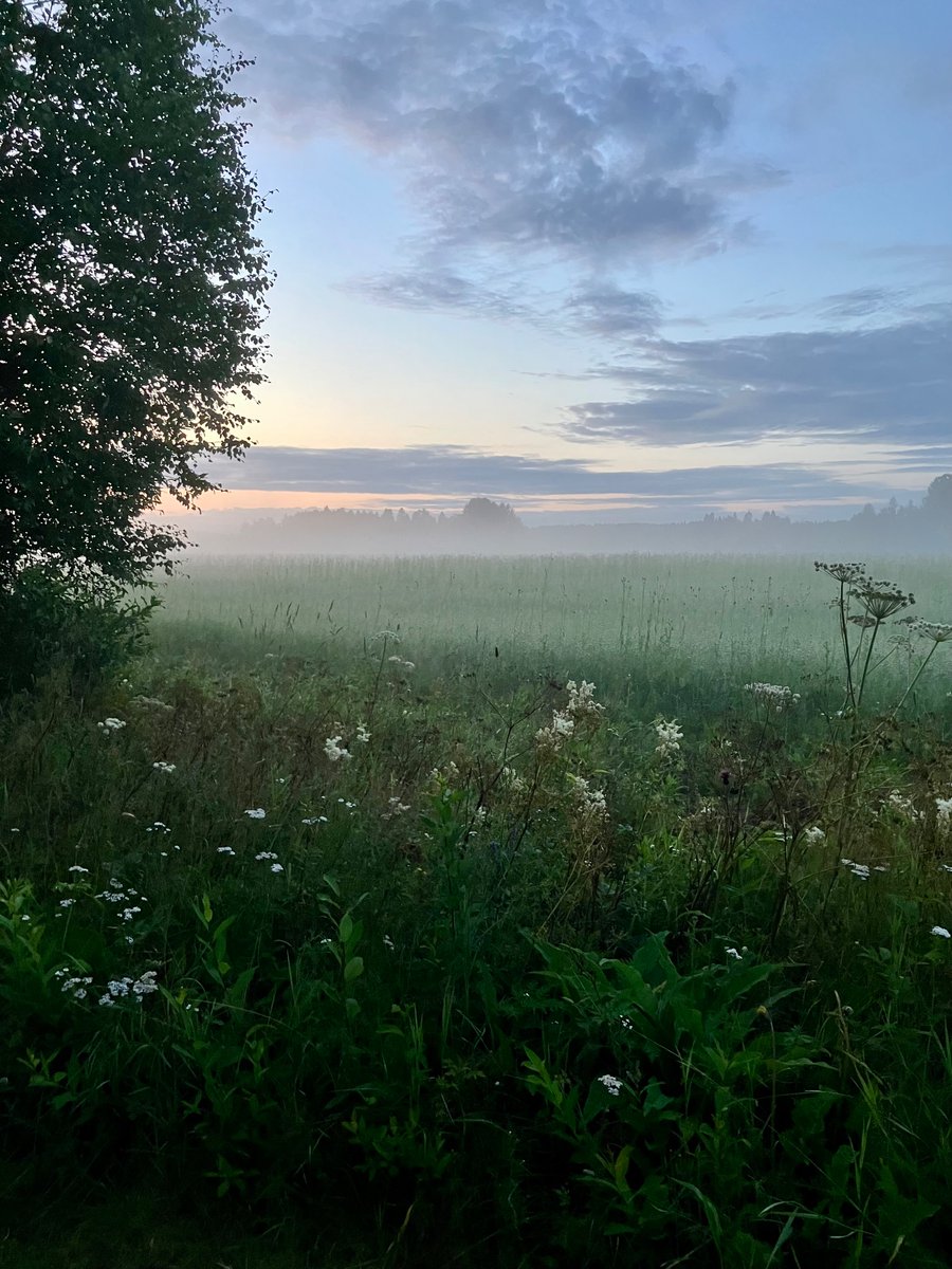 Henna Kosonen tweet media