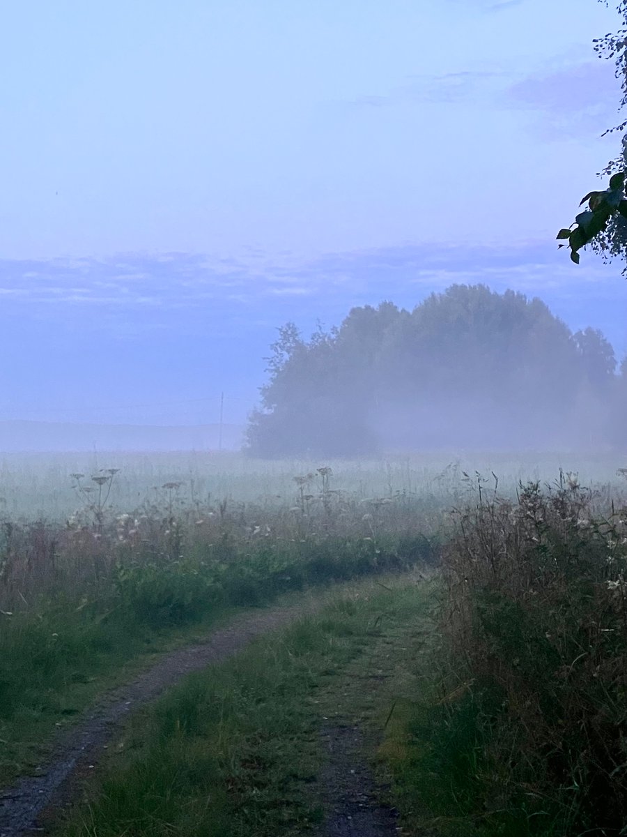 Henna Kosonen tweet media