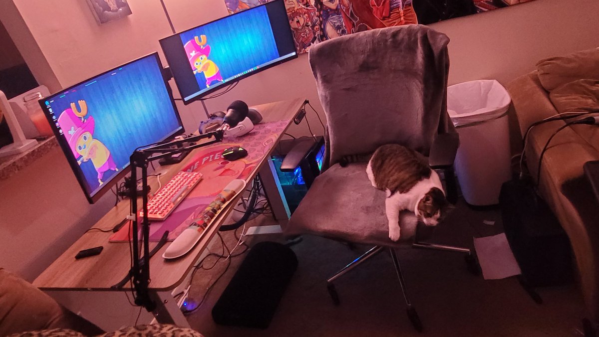 Certifiedumba55's tweet photo. Its slowly coming together #yoshisetup https://t.co/ZzDNoikam4