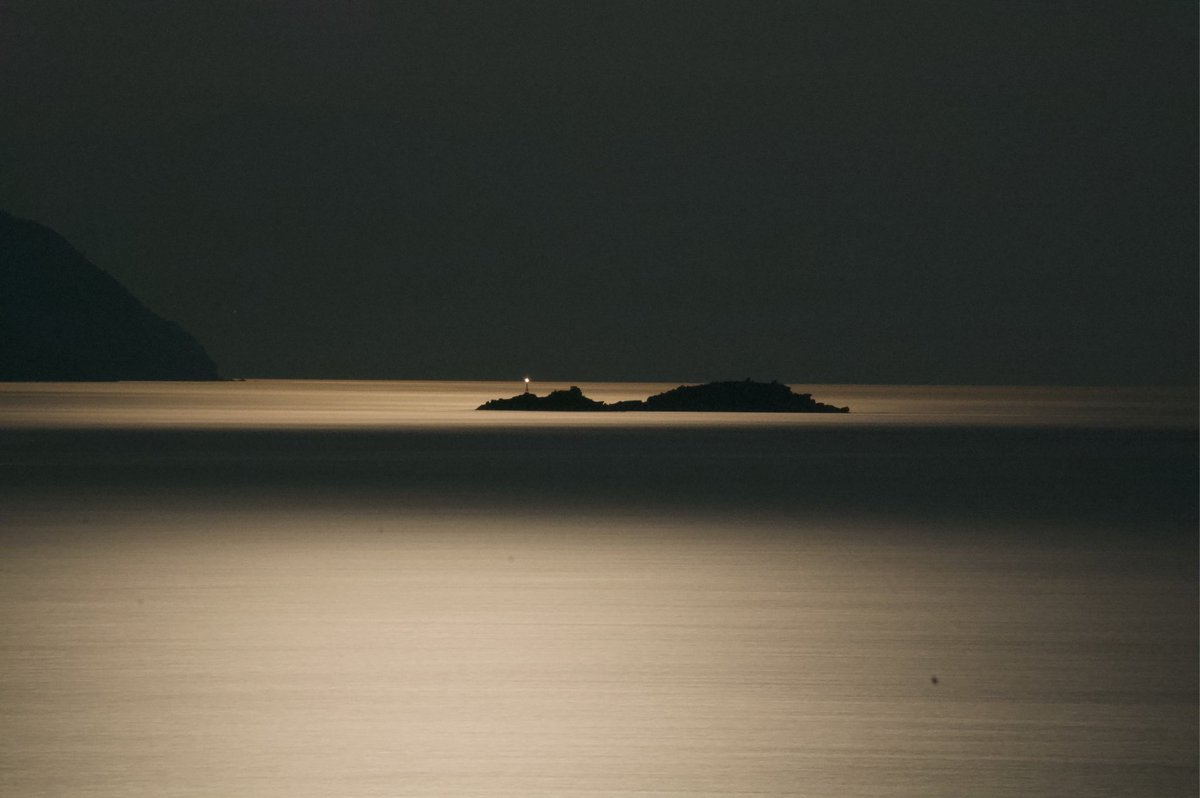 Carsten Peitz tweet media