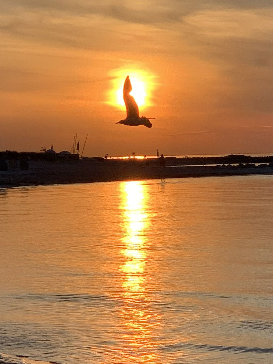 Carsten Peitz tweet media