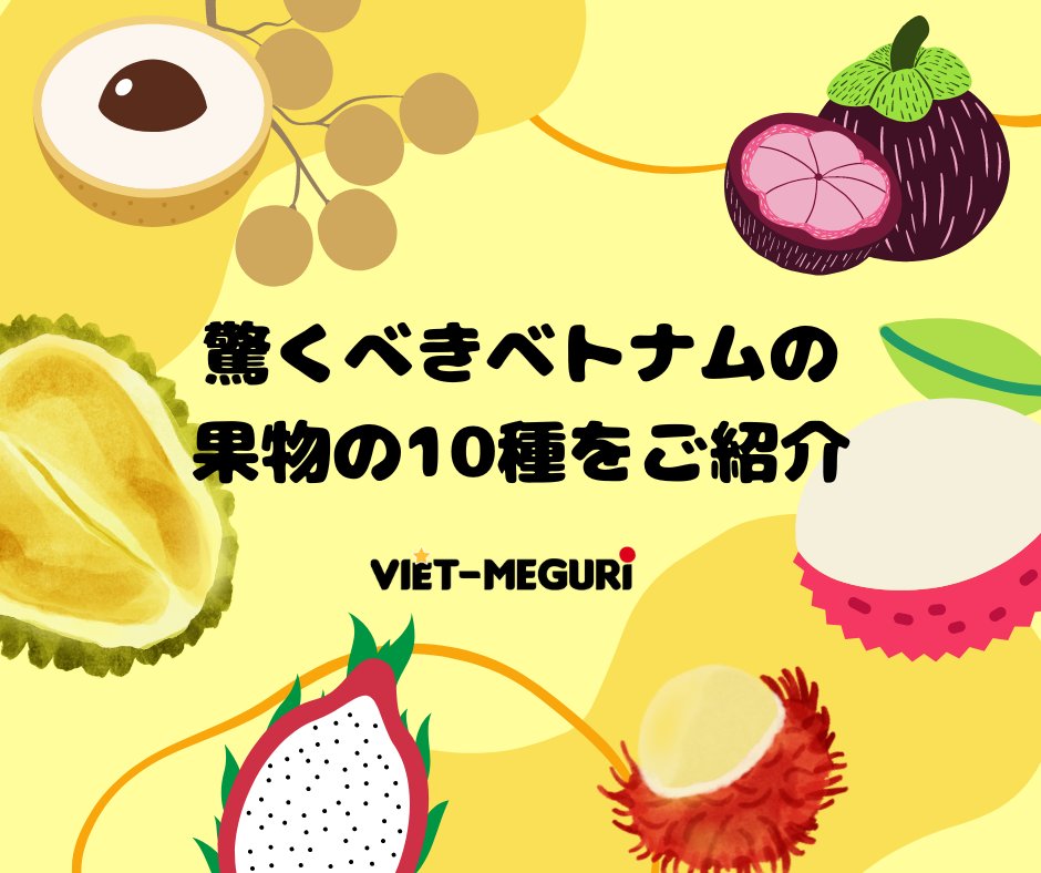 VietMeguri's tweet photo. 📌【グルメ】
🍓【驚くべき ベトナムの果物 の10種をご紹介】🥝

https://t.co/bwIQ3fW1tO

🍍ベトナムにご興味のある方、ベトナム総合情報サイトViet-Meguriを是非「いいね」を押してくださいませ！
#vietmeguri #fruit #vietnam #グルメ #果物 https://t.co/KZq09iMyBY