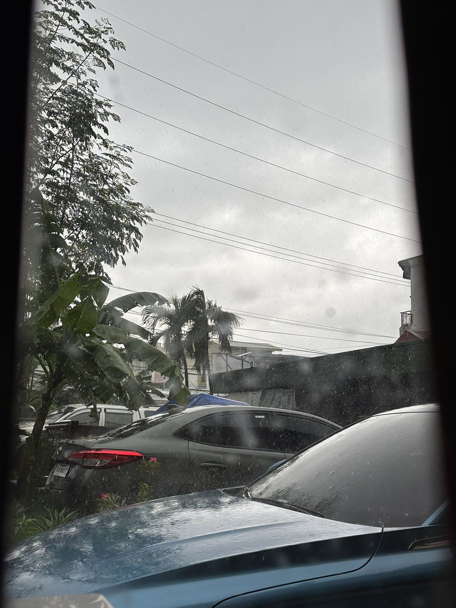 My view from my desk today 
🌨️🌪️🌫️