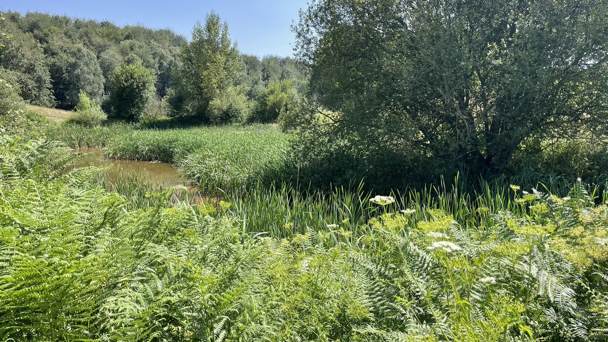 annacrosas's tweet photo. Estany del Coll. Postal de diumenge.
#Collsacabra #Cabrerès #Pruit #RupitPruit https://t.co/6doY2fey6s