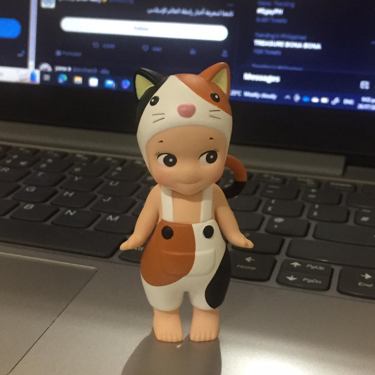 meowiese's tweet photo. wts lfb ph

𓏸 calico cat from cat life series - 580 + pf
ᅠᅠㅡ payo / 2 days
ᅠᅠㅡ mod: flash , loc: pampanga
ᅠᅠㅡ dm me or reply to claim
ᅠᅠㅡ x sensi, x rush

t. sonny angel https://t.co/D0QvCtFfdI