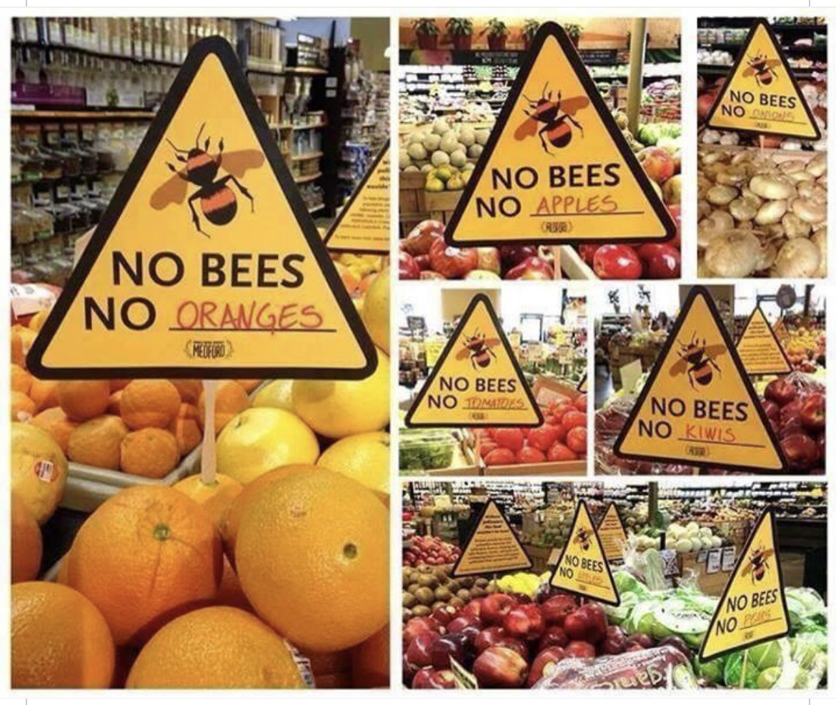 DLuxSilverBeard's tweet photo. #nobees https://t.co/MAnhhjevas