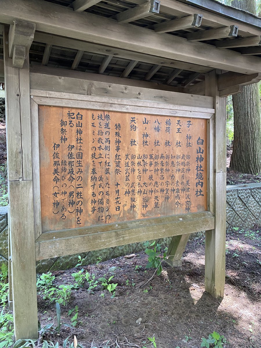 omotesano's tweet photo. https://t.co/UgV9KALkeU