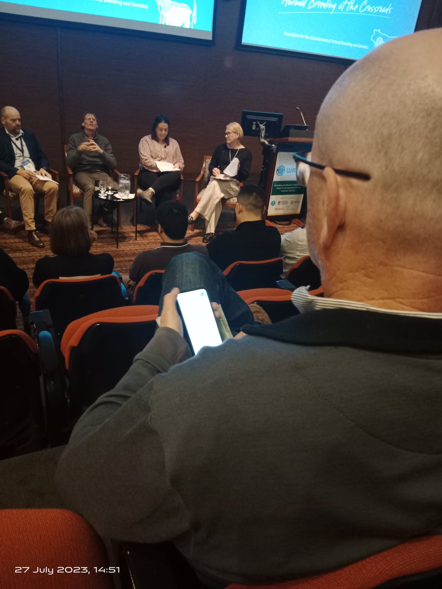 JizzyGenetics's tweet photo. @sheepGeekCP live dropping Twitter bombs live #AAABG https://t.co/QY1DfNOiWh