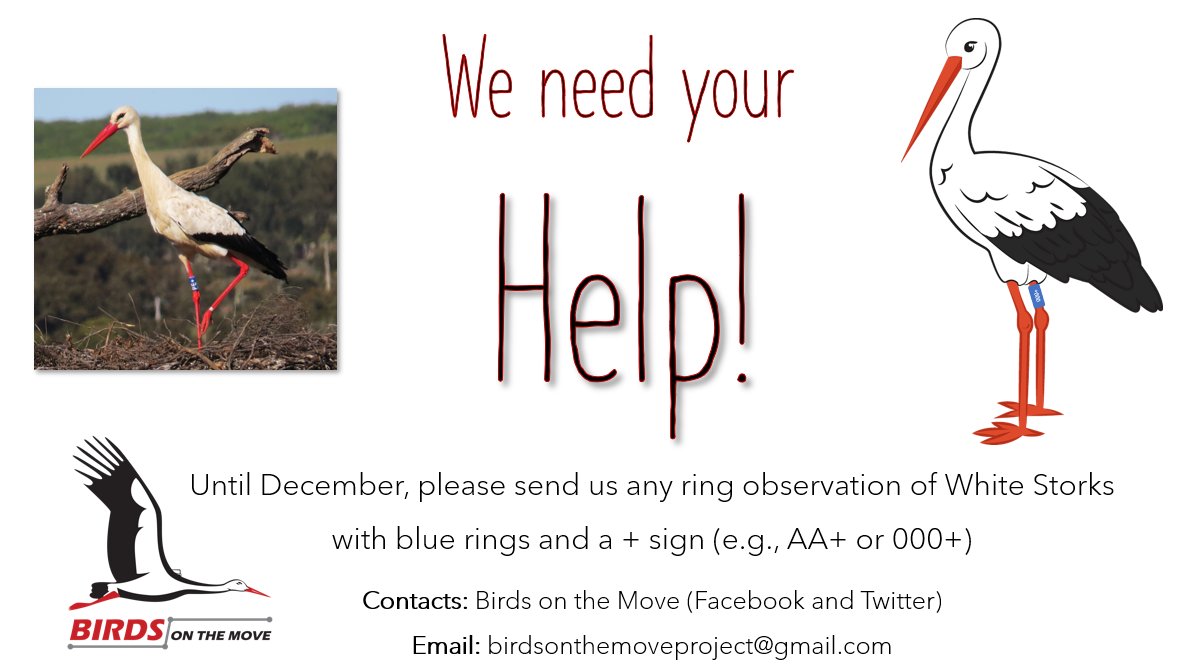 Birds On The Move tweet media