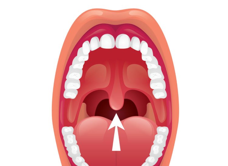 arthurawkam's tweet photo. At what age did you get to know what that Dangly thing in the back of your throat is &amp; for? https://t.co/4Sz8HykGWi