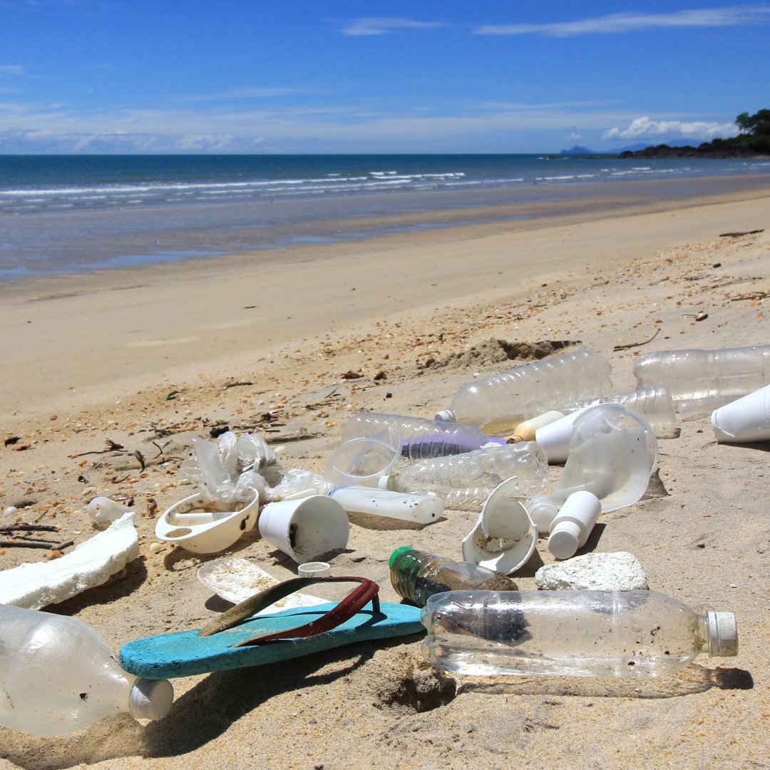 Switch2Zero tweet media