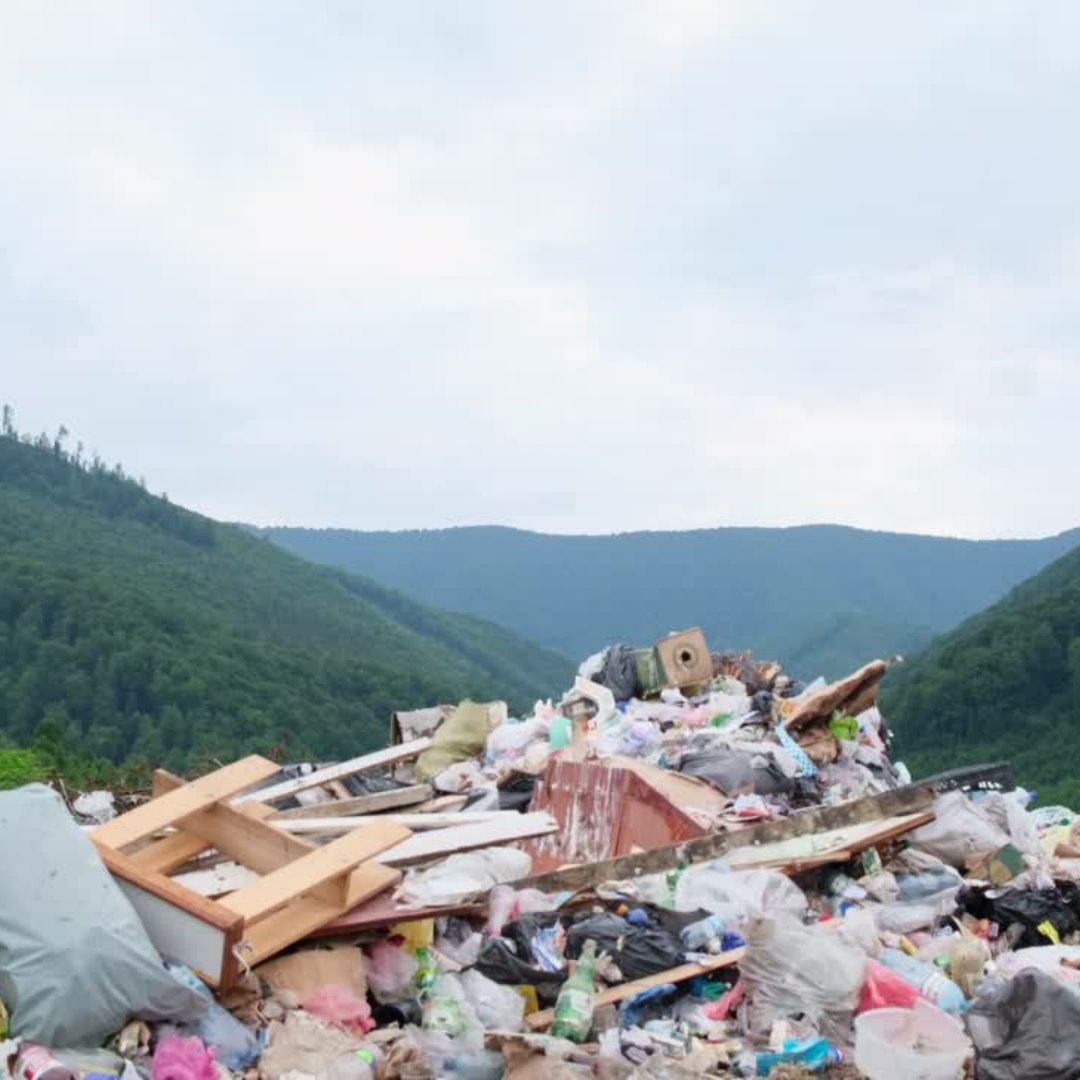 Let’s choose a future where nature thrives, free from plastic pollution. 

Join us in embracing sustainable alternatives and preserving the beauty of our planet. Together, we can make a lasting difference. 🌍💪

#sustainableliving #plasticfreefuture  #plasticpollution