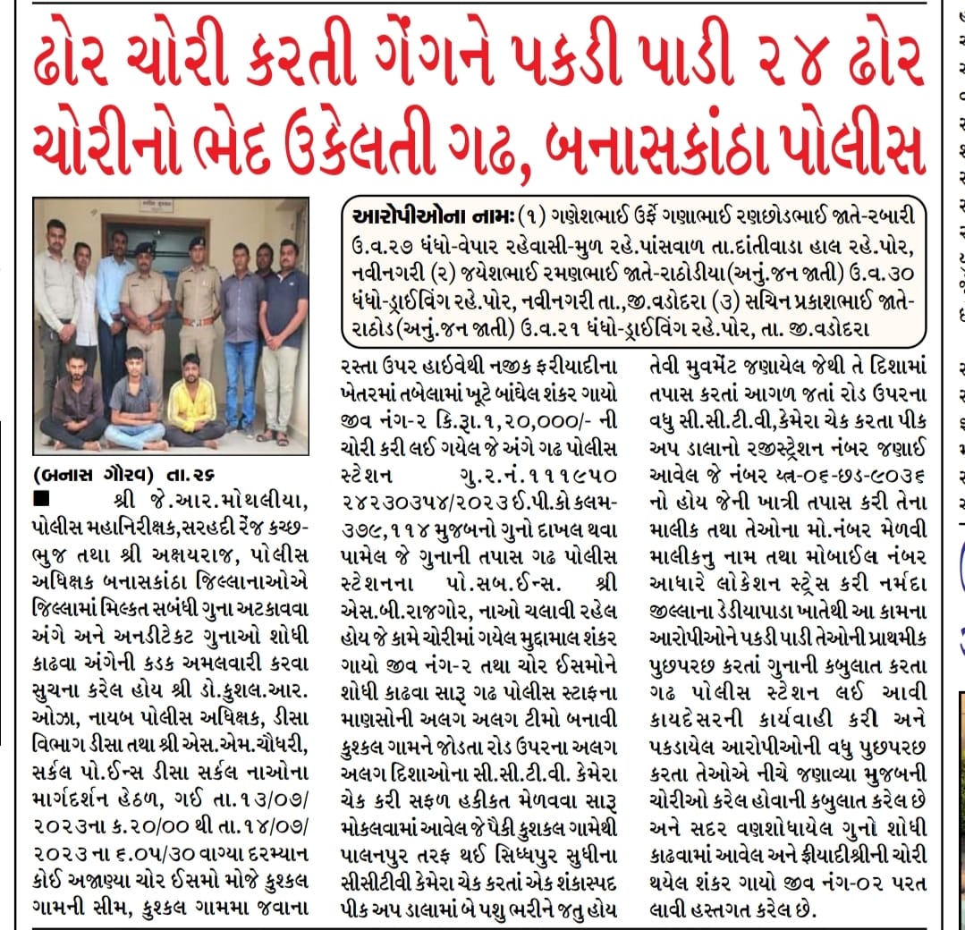 SP_Banaskantha's tweet photo. ઢોર ચોરી કરતી ગેંગને પકડી પાડી ૨૪ ઢોર ચોરીનો ભેદ ઉકેલતી ગઢ,બનાસકાંઠા પોલીસ. #theft #gadh #police #banaskanthapolice @sanghaviharsh @Bhupendrapbjp @dgpgujarat @GujaratPolice https://t.co/OYnHokkr8J