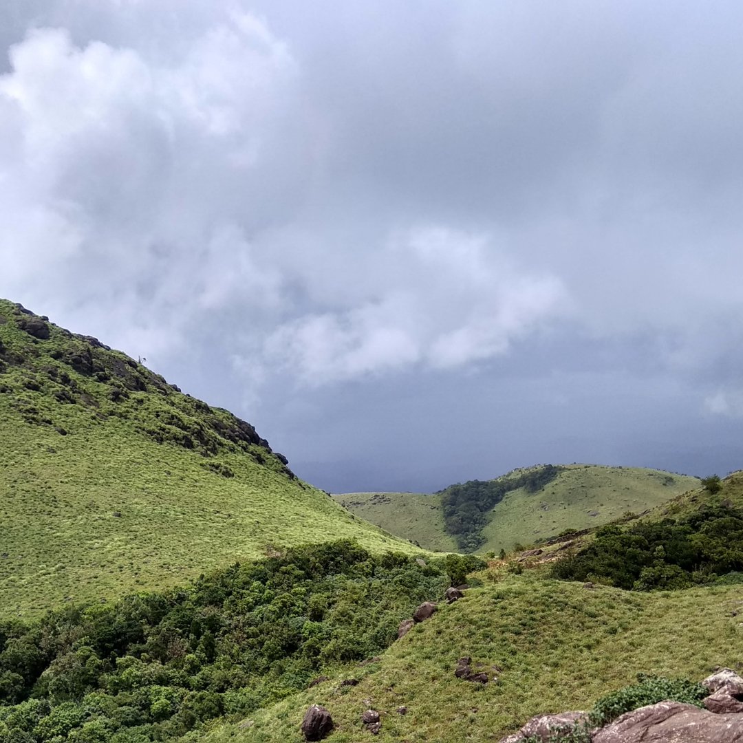 Switch2Zero tweet media