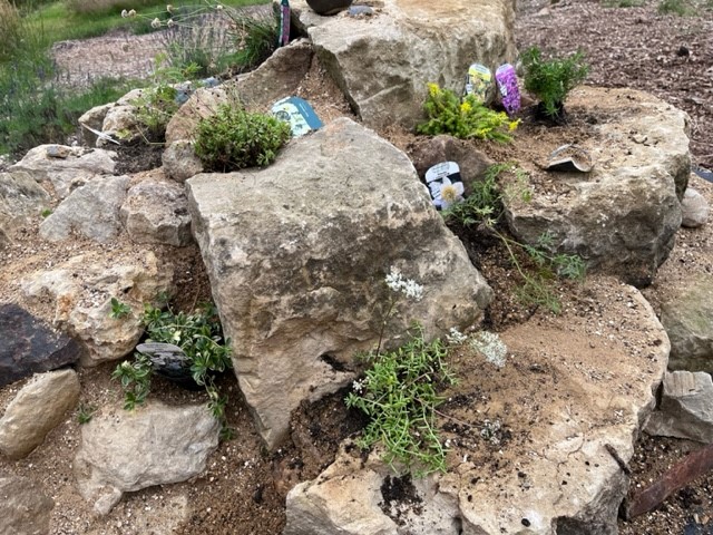 Our Garden Team completed a new rock garden! The project was built from scratch from a flat weedy ground, collecting stones from our Willen site. The rock garden has a wide range of alpine & rock garden plants which will grow and flourish! 

#CamphillMK #Abilities #RockGarden https://t.co/9ilBXLDGf8