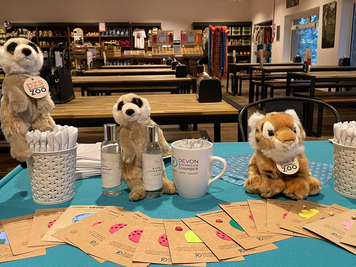 Chamber_Devon's tweet photo. We're delighted to be at @DartmoorZoo this morning for #GreenBreakfastNetworking, in partnership with @YGSLandscapes 🐯

Looking forward to welcoming all our guests 👋🏼

https://t.co/2omd8F1odX

#connectgrowsucceed #peopleplanetpurpose #networking #green #netzero #zoo #dartmoorzoo https://t.co/JTGwJ6M29j