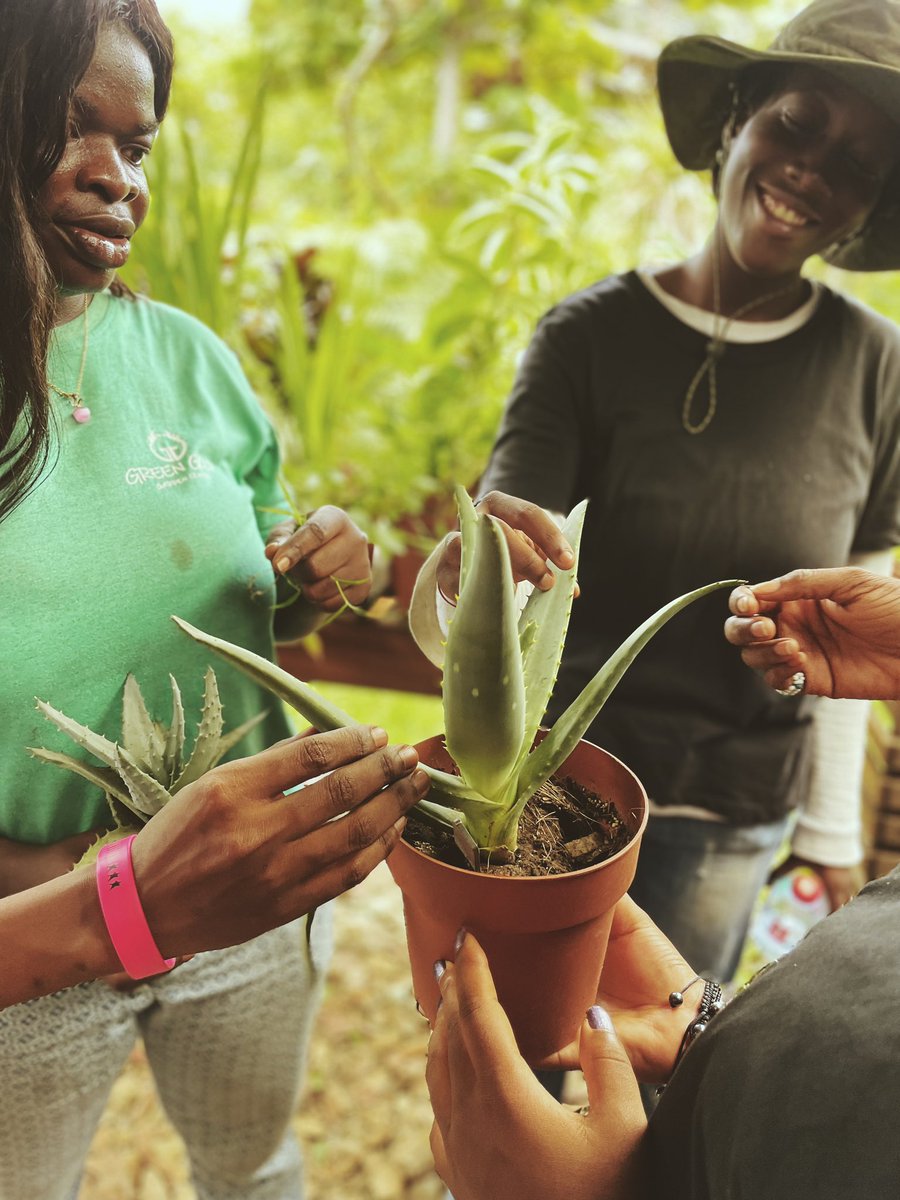 FLOWER THERAPY with the Skate Gal Club members guided by Maggie Sade,  holistic mental health therapist, and the founder of FlowerTalk. 📸 <a href="/Rooky_Rider/">Sandy Alibo</a> 
Initiative supported by <a href="/FranceandGhana/">Ambassade de France au Ghana</a> to empower young women through an annual skate therapy program. 🇫🇷🇬🇭
