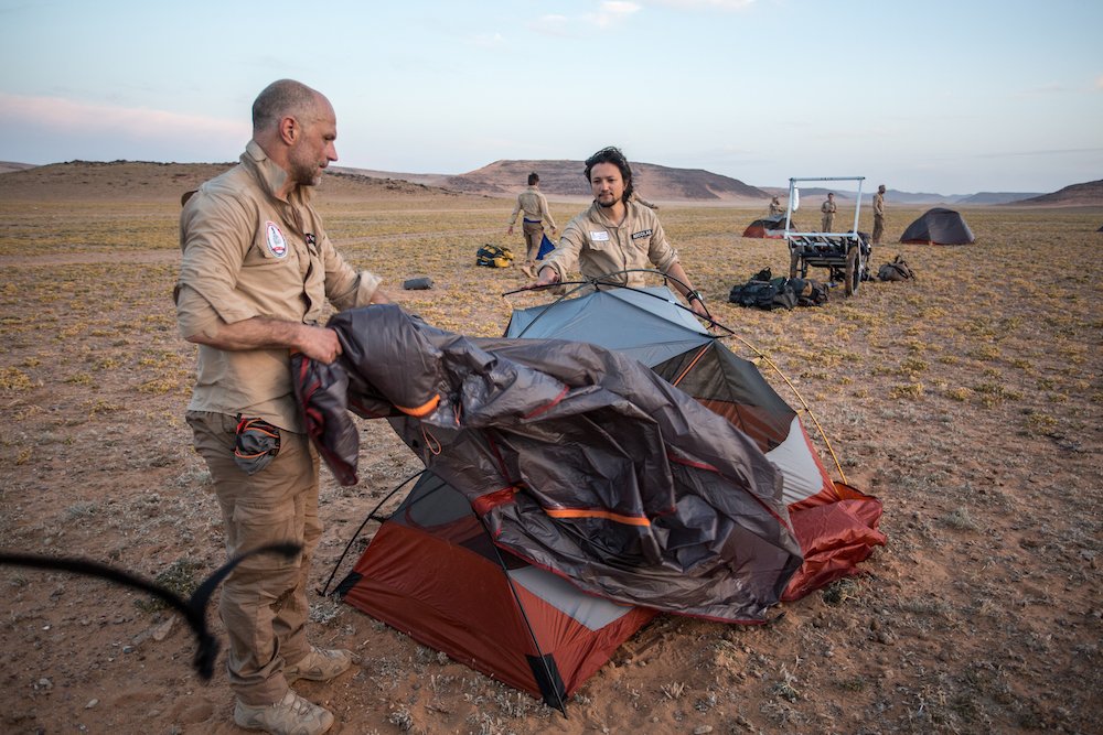 Human Adaptation Institute tweet media