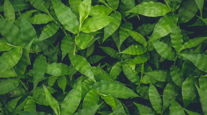 LeaderOccitanie's tweet photo. #RSE : L'engagement des entreprises est toujours plus fort 🌳 https://t.co/NFNhJe4dxy in @CB_News https://t.co/UQokxP89dK
