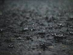 firstpost's tweet photo. #PunjabLIVEUpdates: Punjab BJP delegation meets governor on #floodissue, demands compensation for #farmers
Get LIVE Updates here https://t.co/Nt2DP2HIPg https://t.co/EMxluNLBX9