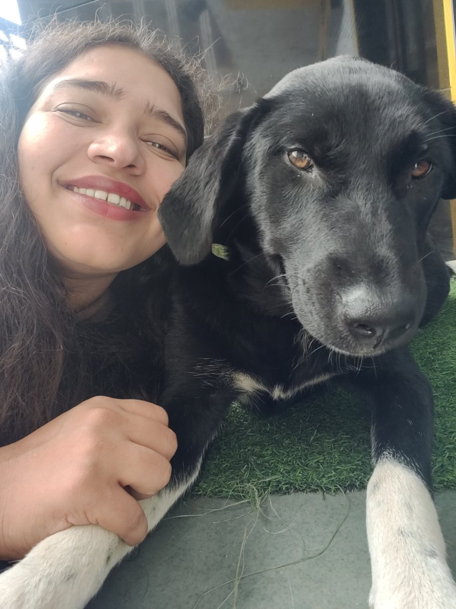 Nomadic_Mohini's tweet photo. I hate you ,like I love you. 🤣😃😁😍
#shimla #doglover
#traveling https://t.co/gzIJs6zs7d