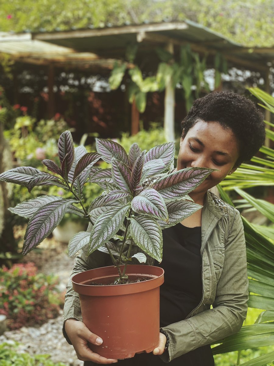 BLOOMING SERENITY. Took some pictures of my team at a flower therapy session 🌹💐🌸🌺🌷🌻🌼