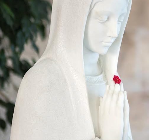 Avui que celebrem la solemnitat de l'Assumpció de Maria us animo a preguntar-vos: «Qui és Maria per a mi?»

Maria ens recorda que la nostra esperança és que un dia també nosaltres anirem al cel i estarem en plena comunió amb Déu.

acortar.link/Byzoc9