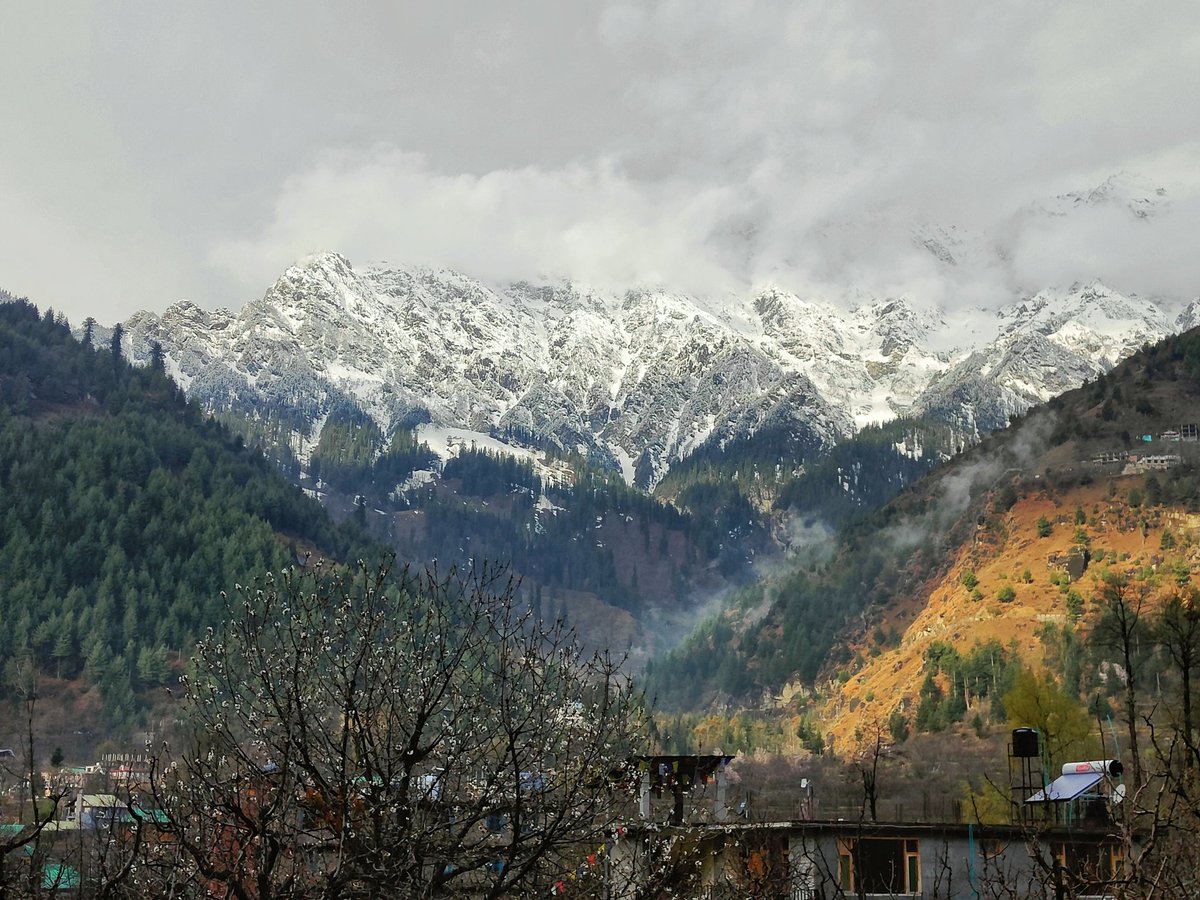 Nomadic_Mohini's tweet photo. @clicks1222 Manali ,India https://t.co/yIvzQDtfOu