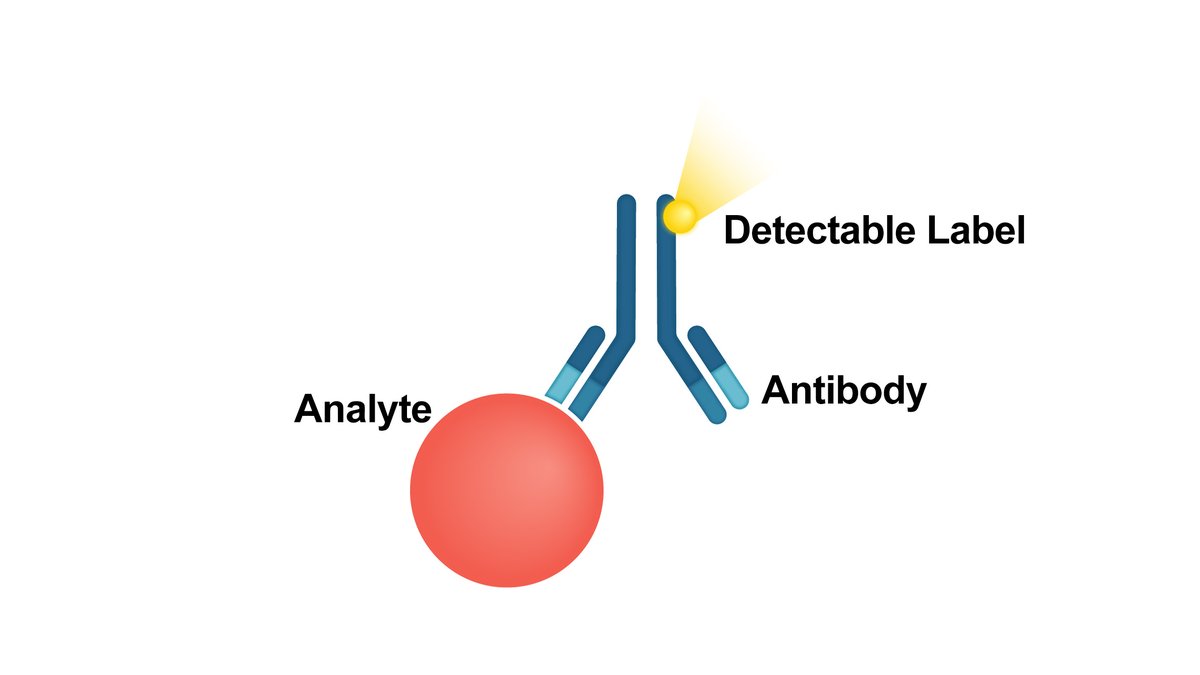 jimmunoallerg's tweet photo. Immunoassays are biochemical tests are used to detect the presence or concentration of a specific chemical, such as a toxin or hormone, in a solution using antibody-antigen reactions.
#immunoassay #antibody #immunology #analyte #biochemicaltests https://t.co/6AZfCQrdXY