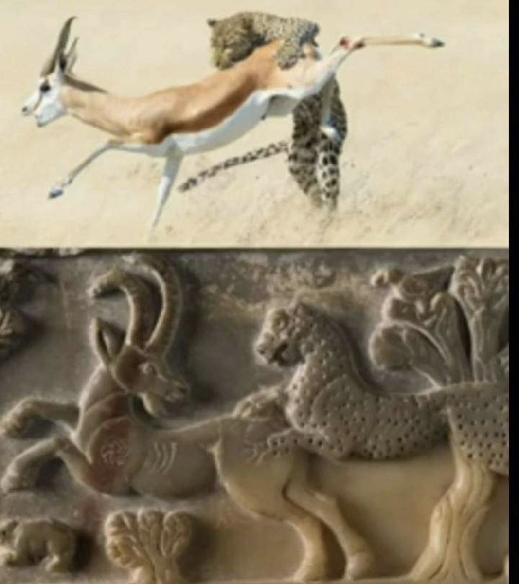 The difference between the two images is three thousand years. The upper image is in HD technology, while the lower image is in the hands of the Sabaean Yemeni sculptor.