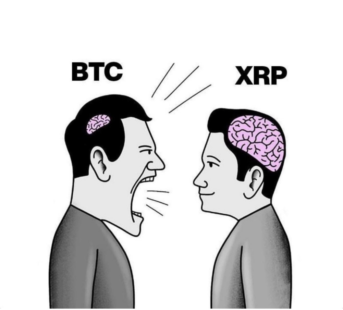 RippleXrpie tweet picture