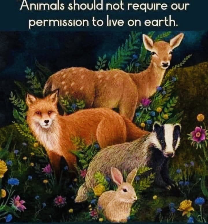 #RelistWolves #ProtectOurWildlife #ProtectOurOceans #SaveOurEarth #StopOverpopulating #BanTrapping #FuckTrophyHunters #SaveOurWolves #SaveTheBees #SaveTheESA 🐺🐝🦇🐋🦈🐅🦒🐘🦜🐇🦩🦝🦡🦫🦦🦥